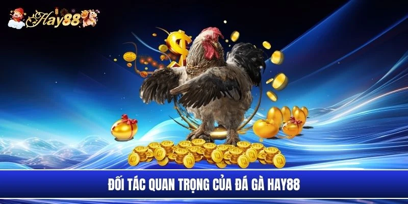 Đối tác quan trọng của đá gà Hay88