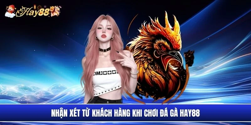 Nhận xét từ khách hàng khi chơi đá gà Hay88